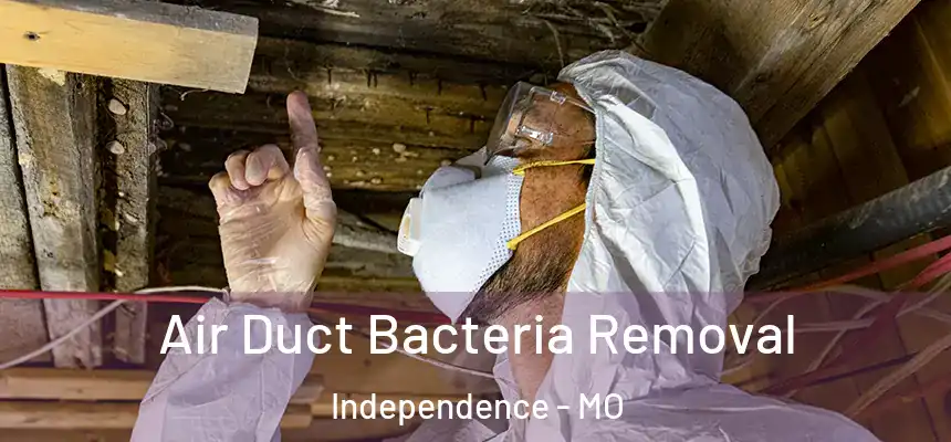  Air Duct Bacteria Removal Independence - MO
