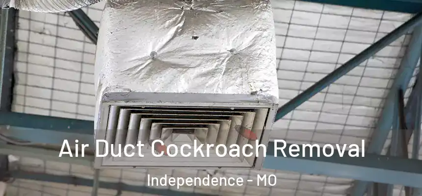  Air Duct Cockroach Removal Independence - MO