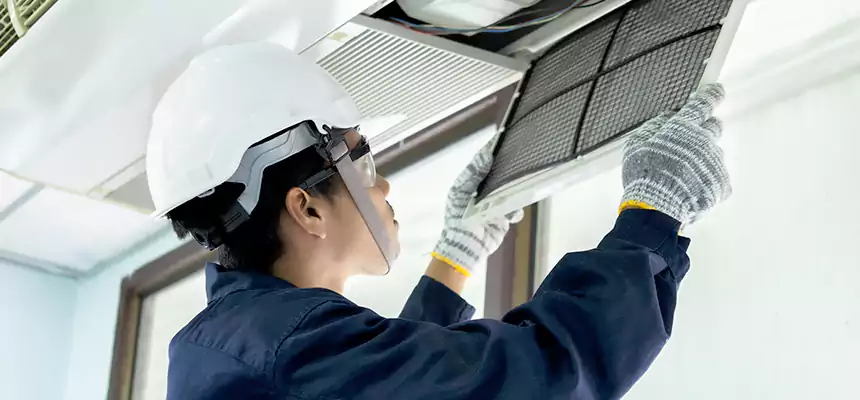 Our Mold & Mildew Removal from Air Ducts Services in Independence, MO