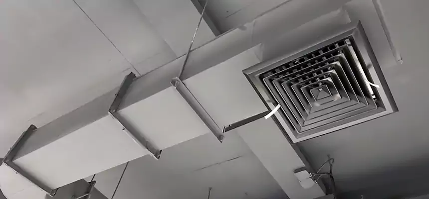 Our Pest Removal From Ducts Services in Independence, MO