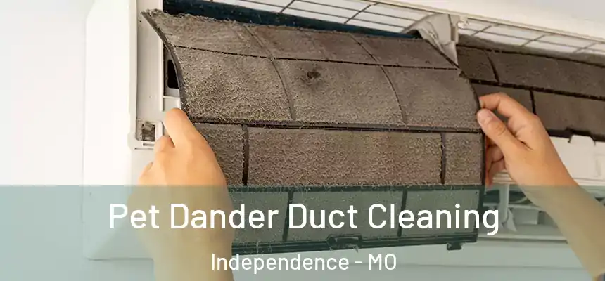 Pet Dander Duct Cleaning Independence - MO