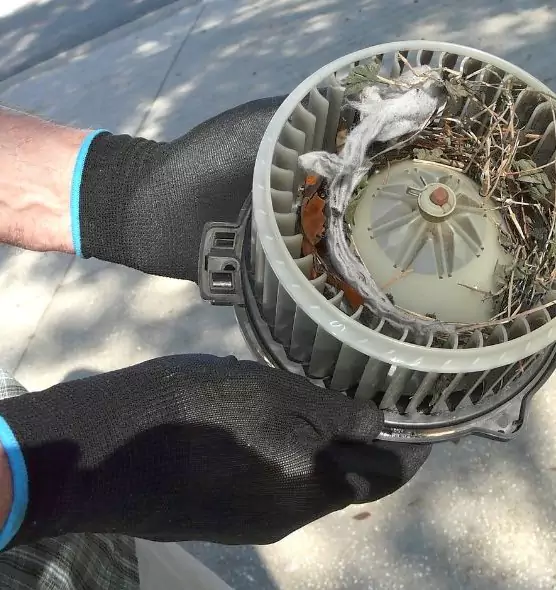 About Air Duct Mice Removal in Independence, MO