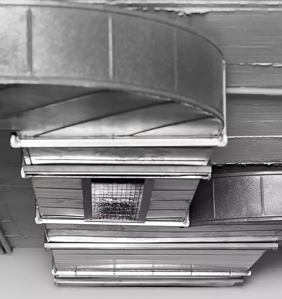 Professional Air Duct Pest Removal in Independence, MO