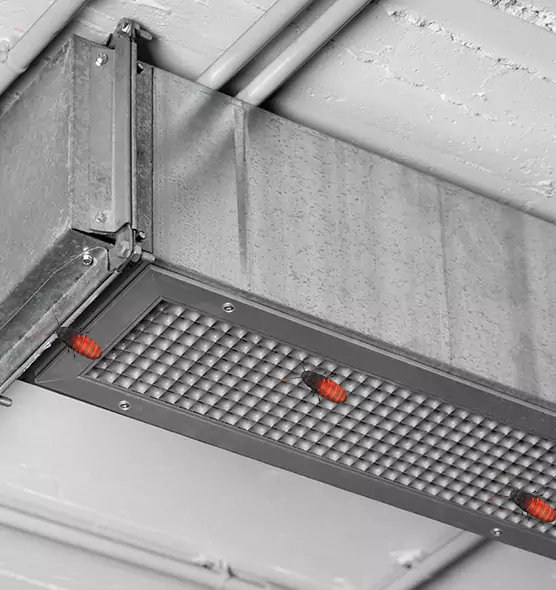 Affordable Insect Removal from Air Ducts in Independence, MO